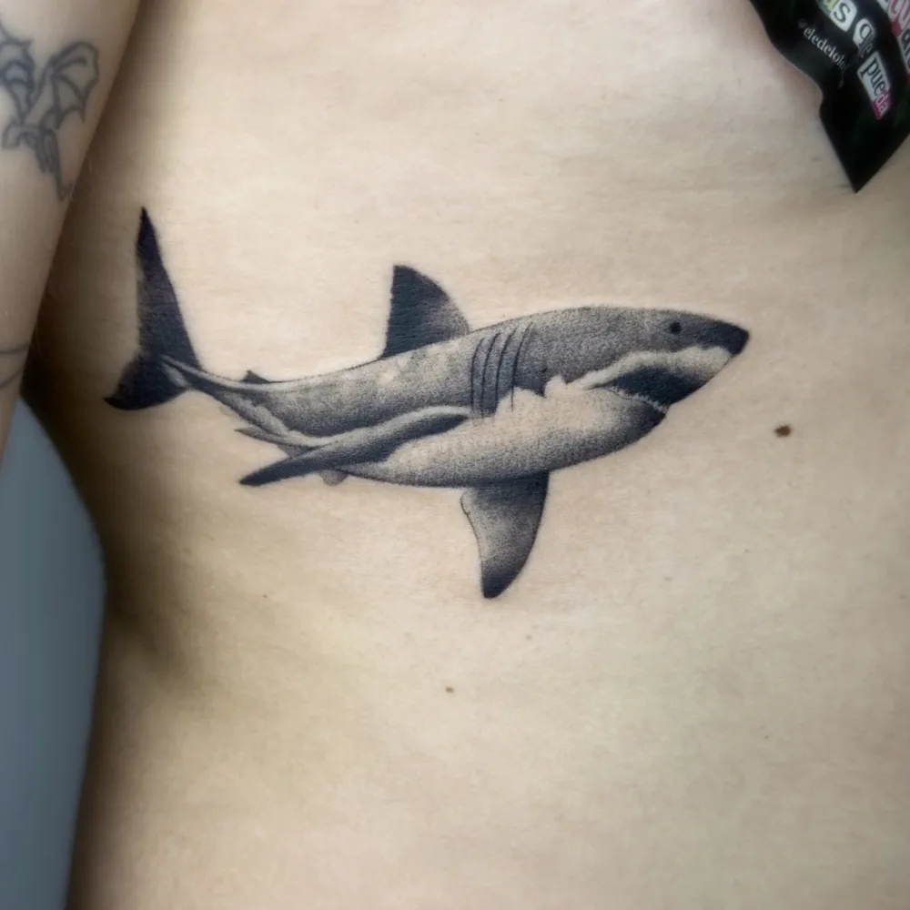 Tatuaje de tiburón blanco en microrrealismo negro y gris en el costado, hecho en Chueca, Madrid